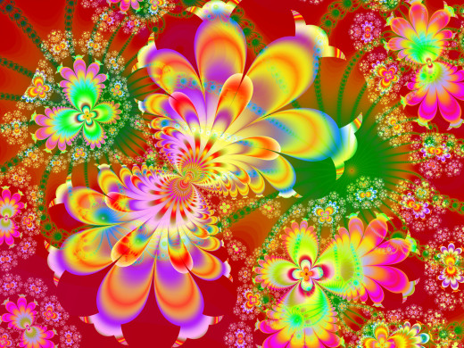 1016133 (a): :2048x1536